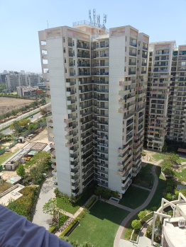 3 BHK Flats & Apartments for Sale in Sector 92, Gurgaon (2120 Sq.ft.)