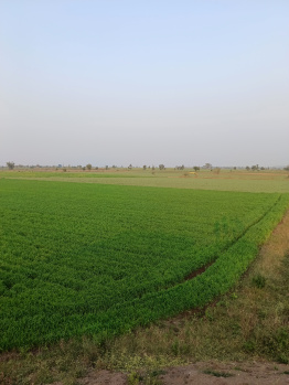 11 Acre Agricultural/Farm Land for Sale in Handia, Harda