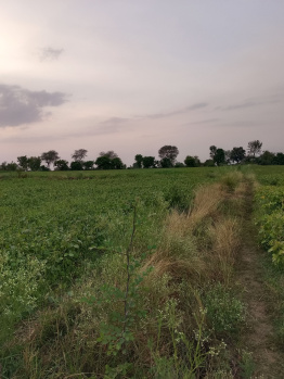 Property for sale in Chhipaner Road, Harda