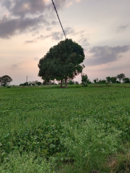14 Acre Agricultural/Farm Land for Sale in Rahatgaon, Harda