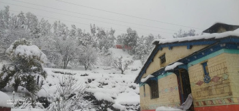 Residential Plot for Sale in Dhanachuli, Nainital (150 Sq. Yards)