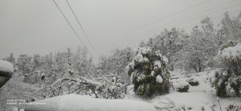 Residential Plot for Sale in Dhanachuli, Nainital (300 Sq.ft.)