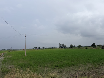 Industrial land for sale in Gharonda karnal