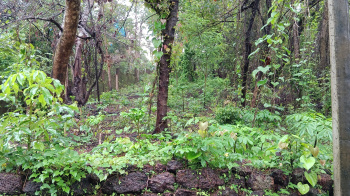 Excellent 876 Settlement Plot at Olaulim for Sale at Rs. 3.06 Cr.