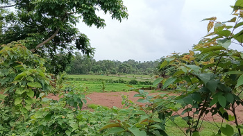An Excellent 6150M Settlement Land with Field View at Saligao-Calangute Border for Sale