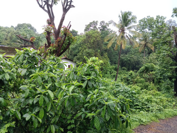 Property for sale in Alto Porvorim, Goa