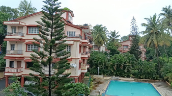 1 BHK Flats & Apartments for Sale in Baga, Goa (56 Sq. Meter)