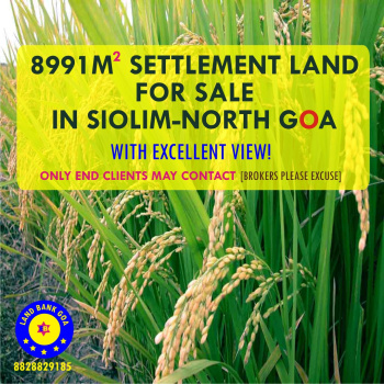 Premium Settlement Land in near Gauri Khan Project in Siolim is For Sale