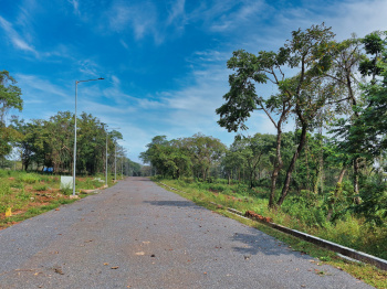 Premium 597M Settlement land is For Sale in Sodiem-Siolim, North Goa