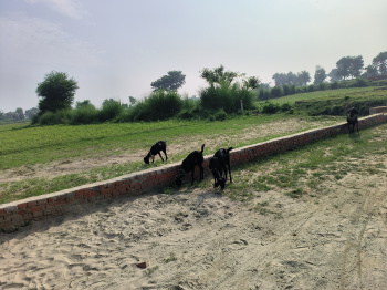 Property for sale in Faizabad Road, Sultanpur