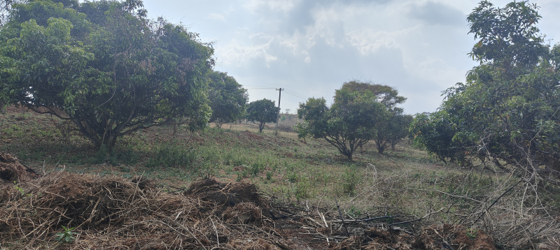 2 Acre Agricultural/Farm Land For Sale In