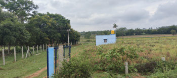 Property for sale in Thalli, Krishnagiri