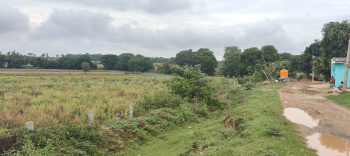 Property for sale in Thalli, Krishnagiri