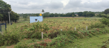 Property for sale in Thalli, Krishnagiri