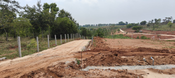 10890 Sq.ft. Agricultural/Farm Land for Sale in