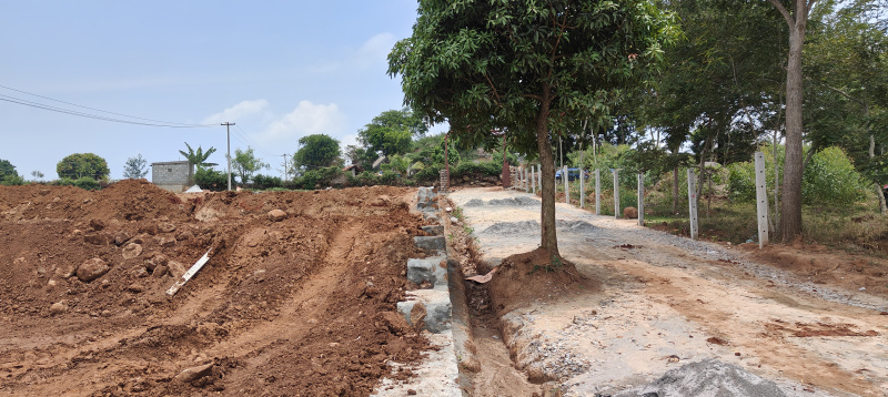 10890 Sq.ft. Agricultural/Farm Land For Sale In