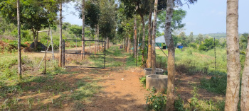 One acre agriculture farm land for sale at thally
