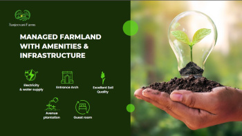 10890 Sq.ft. Agricultural/Farm Land for Sale in Thalli, Krishnagiri