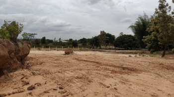 One acre agriculture farm land for sale at thally