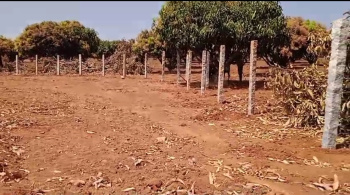 20 Acre Agricultural/Farm Land for Sale in Thalli, Krishnagiri