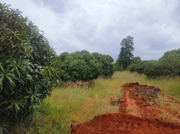 Property for sale in Thalli, Krishnagiri