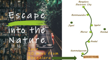 Property for sale in Denkanikottai, Krishnagiri