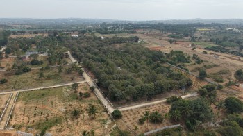 Property for sale in Denkanikottai, Krishnagiri