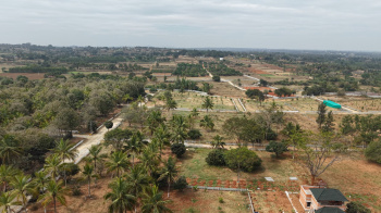 43560 Sq.ft. Agricultural/Farm Land for Sale in Denkanikottai, Krishnagiri