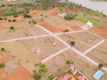 10000 Sq.ft. Agricultural/Farm Land for Sale in Denkanikottai, Krishnagiri