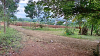 10000 Sq.ft. Agricultural/Farm Land for Sale in Denkanikottai, Krishnagiri