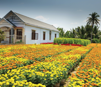 21780 Sq.ft. Agricultural/Farm Land for Sale in Denkanikottai, Krishnagiri