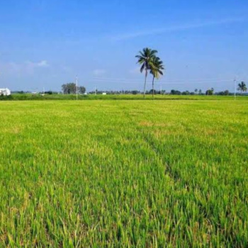 1500 Sq.ft. Commercial Lands /Inst. Land for Sale in Vidhan Sabha Road, Raipur