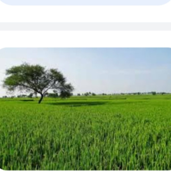 1250 Sq.ft. Industrial Land / Plot for Sale in Chhotapara, Raipur