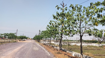 Residential Plot for Sale in Patan, Durg (1000 Sq.ft.)