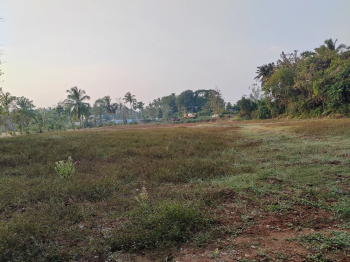 17000 Sq.ft. Agricultural/Farm Land for Sale in Pirda, Raipur