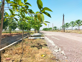 1000 Sq.ft. Residential Plot for Sale in Daldal Seoni, Raipur