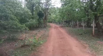 140 Acre Agricultural/Farm Land for Sale in Basantpur, Rajnandgaon