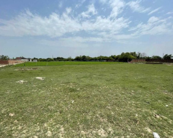 42 Acre Agricultural/Farm Land for Sale in Nandghat, Bemetara