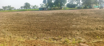 233 Sq.ft. Agricultural/Farm Land for Sale in Baloda Bazar, Raipur