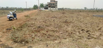 75 Acre Agricultural/Farm Land for Sale in Baloda Bazar, Raipur