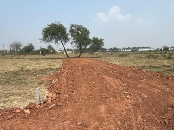 35 Acre Agricultural/Farm Land for Sale in Tilda, Raipur