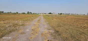 20 Acre Agricultural/Farm Land for Sale in Tilda, Raipur