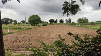 4 Acre Agricultural/Farm Land for Sale in Kalibadi, Korba