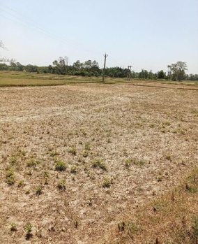 100 Acre Agricultural/Farm Land for Sale in Ring Road 2, Bilaspur