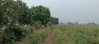 Property for sale in Tilda, Raipur