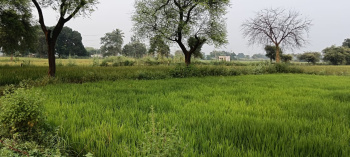 Property for sale in Dharsiwa, Raipur