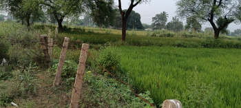 Property for sale in Siltara, Raipur
