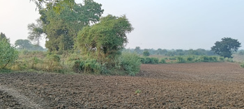 Property for sale in Nawagarh, Bemetara