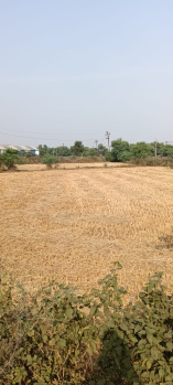 Property for sale in Dharsiwa, Raipur
