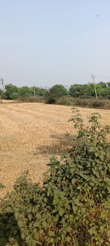 Property for sale in Dharsiwa, Raipur